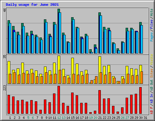 Daily usage for June 2021
