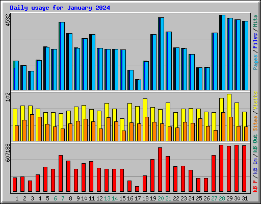 Daily usage for January 2024