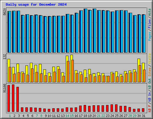 Daily usage for December 2024