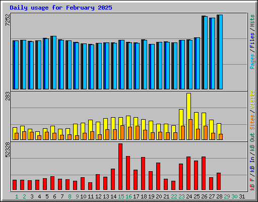 Daily usage for February 2025
