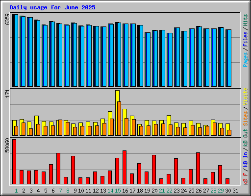 Daily usage for June 2025
