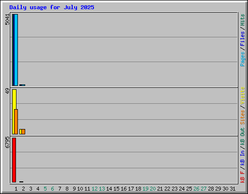 Daily usage for July 2025