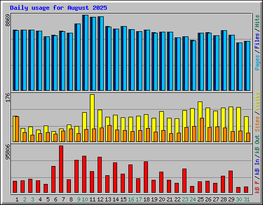 Daily usage for August 2025
