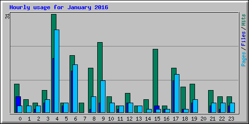 Hourly usage for January 2016