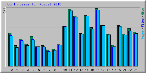 Hourly usage for August 2018
