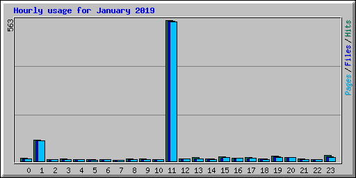 Hourly usage for January 2019