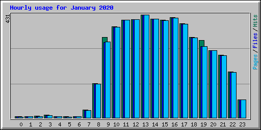 Hourly usage for January 2020