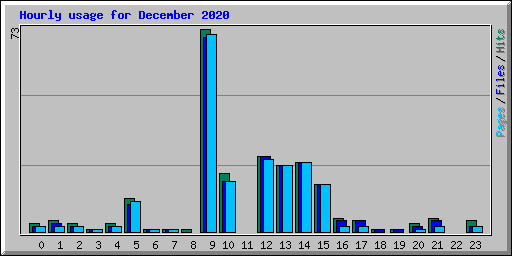 Hourly usage for December 2020