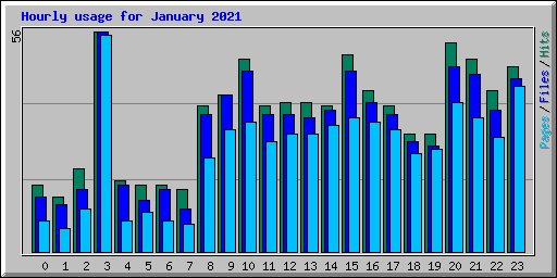 Hourly usage for January 2021