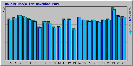 Hourly usage for November 2021
