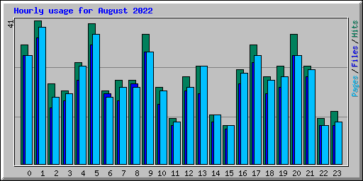 Hourly usage for August 2022