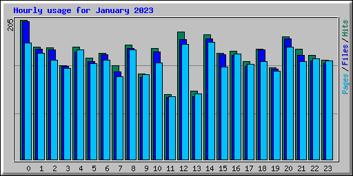 Hourly usage for January 2023