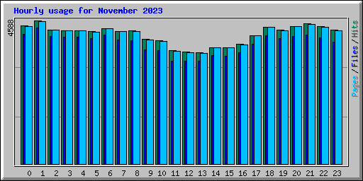 Hourly usage for November 2023