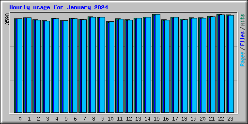 Hourly usage for January 2024