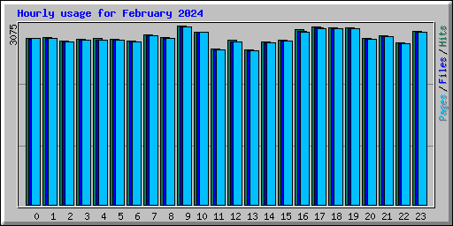 Hourly usage for February 2024