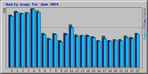 Hourly usage for June 2024