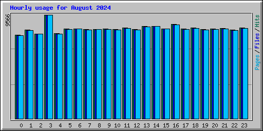 Hourly usage for August 2024