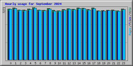 Hourly usage for September 2024
