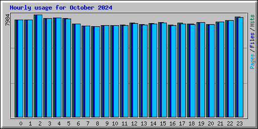 Hourly usage for October 2024