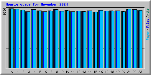 Hourly usage for November 2024