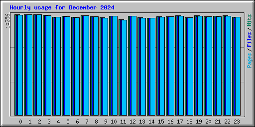 Hourly usage for December 2024