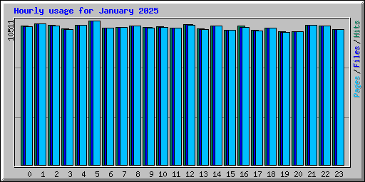 Hourly usage for January 2025