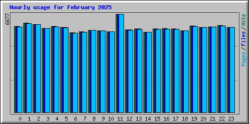 Hourly usage for February 2025
