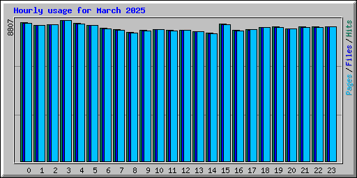 Hourly usage for March 2025