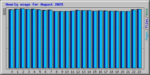 Hourly usage for August 2025
