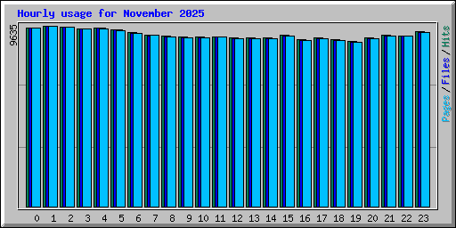 Hourly usage for November 2025