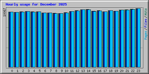 Hourly usage for December 2025