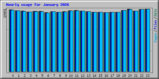 Hourly usage for January 2026