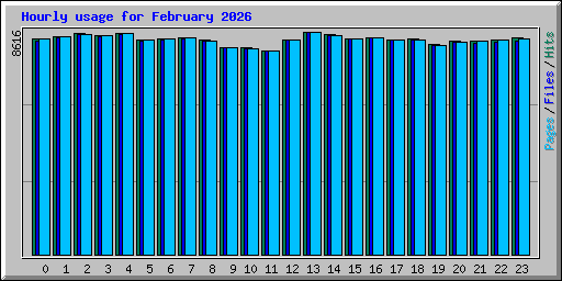 Hourly usage for February 2026